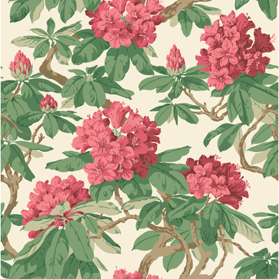 Cole & Son 99/4019.CS.0 Bourlie Wallcovering in Carmine/Ivory/Green/Red