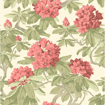 Cole & Son 99/4020.CS.0 Bourlie Wallcovering in Coral/Beige/Light Green
