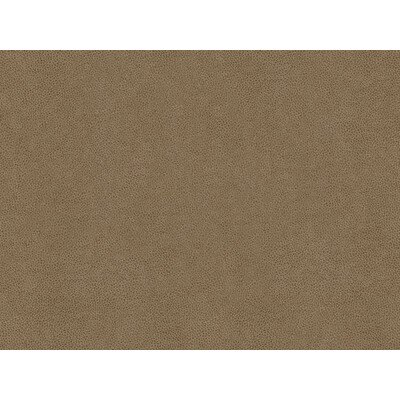Kravet Contract ABILENE.11.0 Abilene Upholstery Fabric in Grey , Grey , Stone