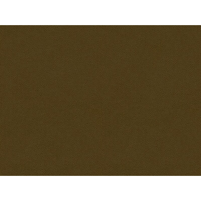 Kravet Contract ABILENE.21.0 Abilene Upholstery Fabric in Charcoal , Charcoal , Bark