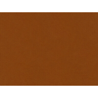 Kravet Contract ABILENE.24.0 Abilene Upholstery Fabric in Rust , Rust , Penny