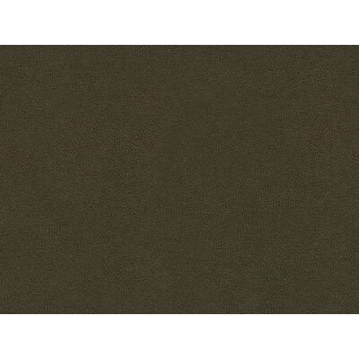 Kravet Contract ABILENE.66.0 Abilene Upholstery Fabric in Expresso , Espresso , Stallion