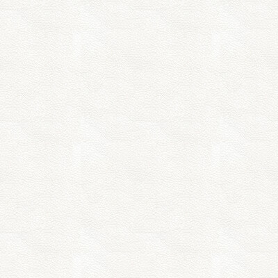 Kravet Design ALI.101.0 Kravet Design Upholstery Fabric in White , White , Ali-101