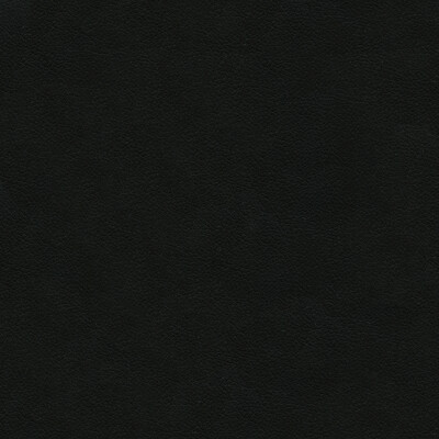 Kravet Design ALI.8.0 Kravet Design Upholstery Fabric in Black , Black , Ali-8