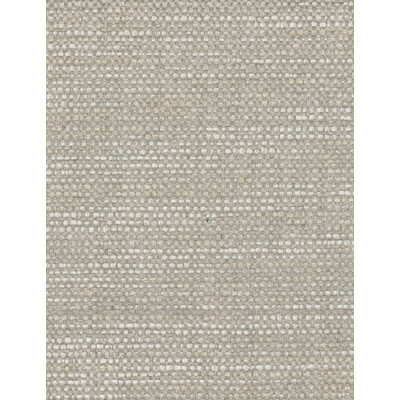 Kravet Couture AM100016.116.0 Cocoon Upholstery Fabric in  ,  , Cloud