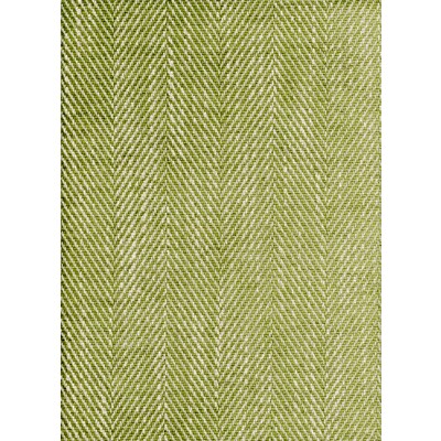 Kravet Couture AM100147.3.0 Summit Upholstery Fabric in Green , Light Grey , Palm