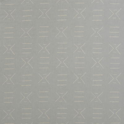 Kravet Couture AM100314.15.0 Kongo Multipurpose Fabric in Light Blue , Ivory , Powder