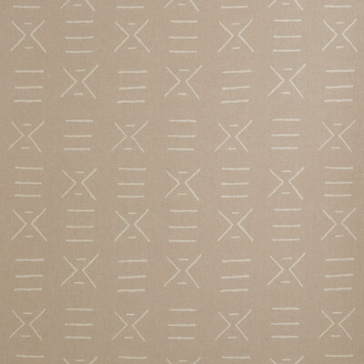 Kravet Couture AM100314.17.0 Kongo Multipurpose Fabric in Pink , Salmon , Plaster