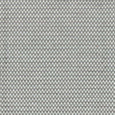 Kravet Couture AM100331.52.0 Molfetta Upholstery Fabric in Grey/White