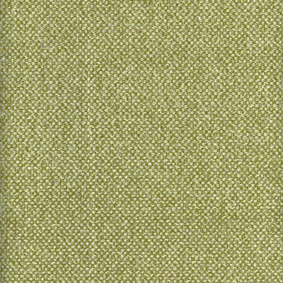 Kravet Couture AM100332.3.0 Yosemite Upholstery Fabric in Green/White