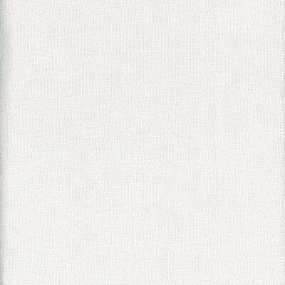Kravet Couture AM100346.111.0 Beagle Multipurpose Fabric in White , White , Journal