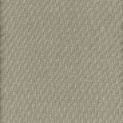 Kravet Couture AM100346.316.0 Beagle Multipurpose Fabric in Khaki , Grey , Grasscloth