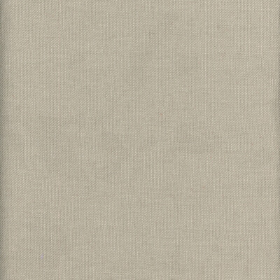 Kravet Couture AM100346.611.0 Beagle Multipurpose Fabric in Grey , Beige , Fossil