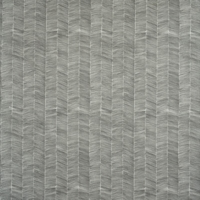 Kravet Couture Am100347.21.0 Delta Outdoor Multipurpose Fabric in Rock/Grey