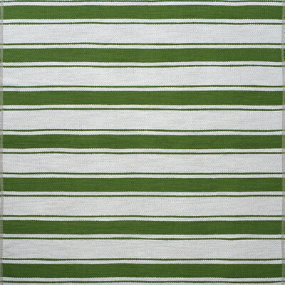 Kravet AM100354.31.0 Mountain Stripe Upholstery Fabric in Meadow/Green