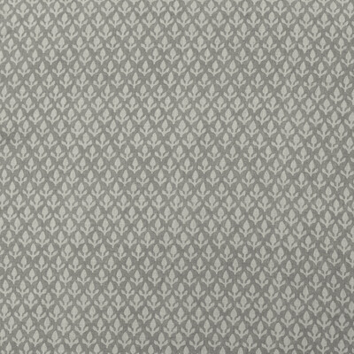 Kravet Couture Am100379.11.0 Bud Multipurpose Fabric in Cloud/Grey