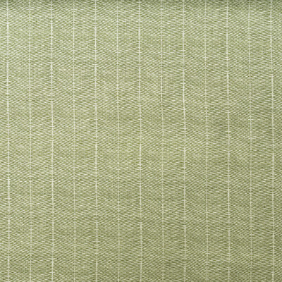 Kravet Couture Am100380.3.0 Furrow Multipurpose Fabric in Leaf/Green