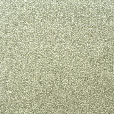 Kravet Couture Am100383.123.0 Pollen Multipurpose Fabric in Fennel/Light Green/Green