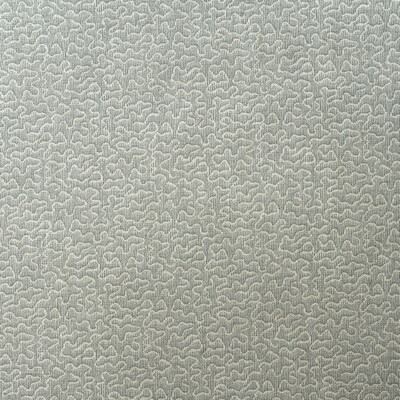 Kravet Couture Am100383.15.0 Pollen Multipurpose Fabric in Sky/Light Blue/Blue