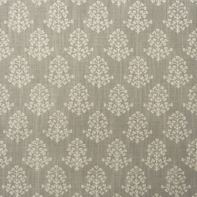 Kravet Couture Am100384.11.0 Sprig Multipurpose Fabric in Cloud/Grey