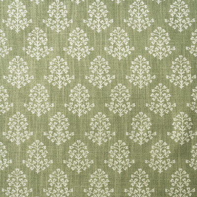 Kravet Couture Am100384.123.0 Sprig Multipurpose Fabric in Fennel/Light Green/Green