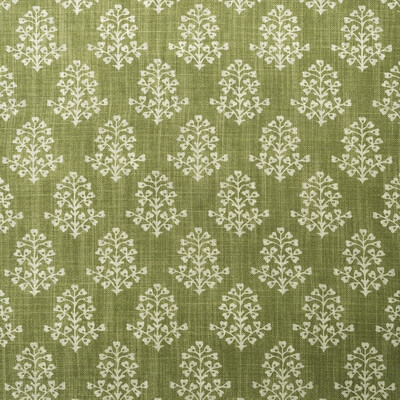 Kravet Couture Am100384.3.0 Sprig Multipurpose Fabric in Leaf/Green