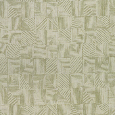 Kravet Couture AM100389.3.0 Bark Multipurpose Fabric in Lichen/Green/White