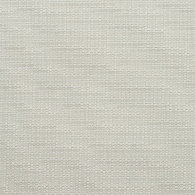 Kravet Couture AM100390.1.0 Birch Upholstery Fabric in Chalk/White/Ivory