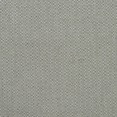 Kravet Couture AM100390.11.0 Birch Upholstery Fabric in Fog/Grey/White