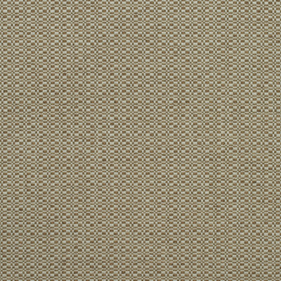 Kravet Couture AM100390.624.0 Birch Upholstery Fabric in Autumn/Rust/White
