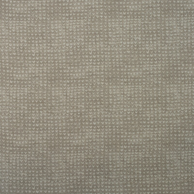 Kravet Couture AM100393.16.0 Finch Multipurpose Fabric in Twig/Beige/White