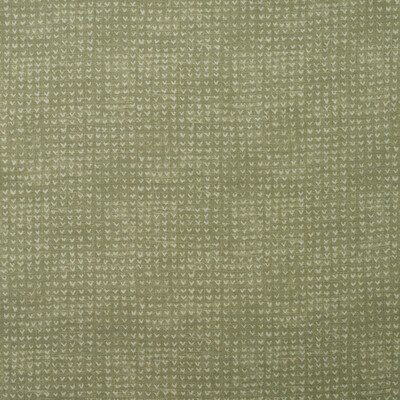 Kravet Couture AM100393.3.0 Finch Multipurpose Fabric in Lichen/Green/White