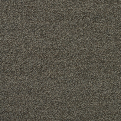 Kravet Couture AM100394.166.0 Fleece Upholstery Fabric in Truffle/Taupe/Grey