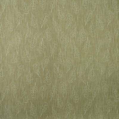 Kravet Couture AM100398.3.0 Noble Oak Multipurpose Fabric in Lichen/Sage/Ivory/Green