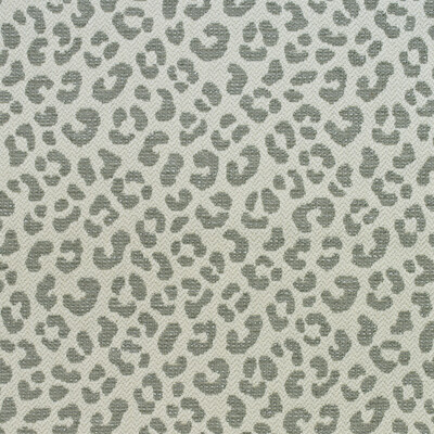 Kravet Couture AM100400.11.0 Wildcat Upholstery Fabric in Storm/Grey/White