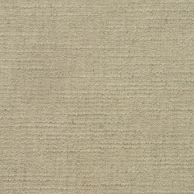 Kravet Couture AM100401.1.0 Wren Upholstery Fabric in Chalk/White