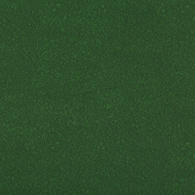 Kravet Contract AMES.3.0 Ames Upholstery Fabric in Green , Green , Forest