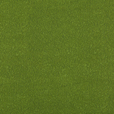 Kravet Contract AMES.303.0 Ames Upholstery Fabric in Olive Green , Olive Green , Moss