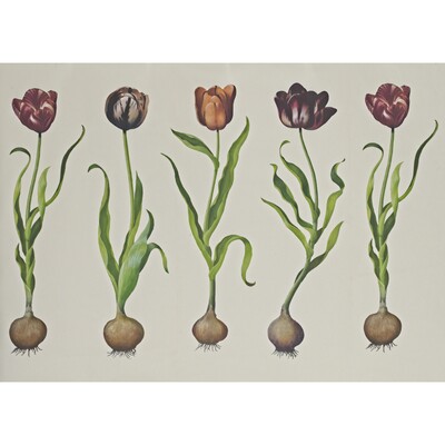 Kravet Couture AMW10067.310.0 Tulips Wallcovering in White , Purple