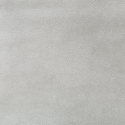 Kravet Design AZERI.11.0 Kravet Design Upholstery Fabric in Silver , Light Grey , Azeri-11