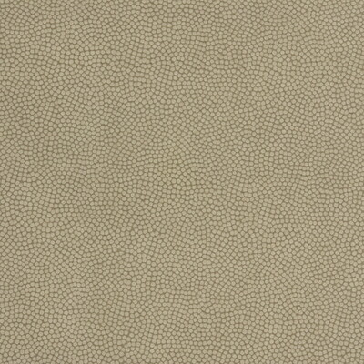 Kravet Couture BEAUTYMARK.106.0 Beautymark Upholstery Fabric in Beige , Brown , Greystone
