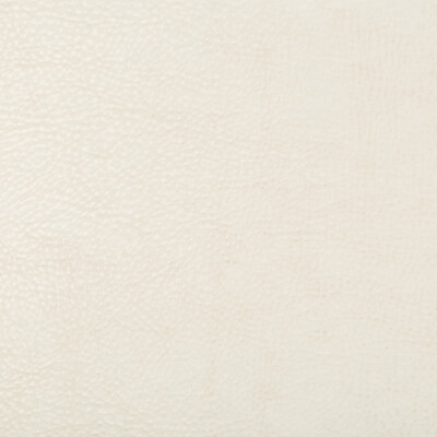 Kravet Design BEHOLDER.1.0 Kravet Design Upholstery Fabric in White , Ivory , Beholder-1