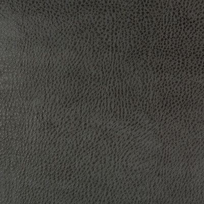 Kravet Design BEHOLDER.21.0 Kravet Design Upholstery Fabric in Charcoal , Charcoal , Beholder-21