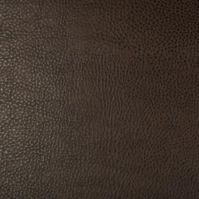 Kravet Design BEHOLDER.6.0 Kravet Design Upholstery Fabric in Brown , Brown , Beholder-6