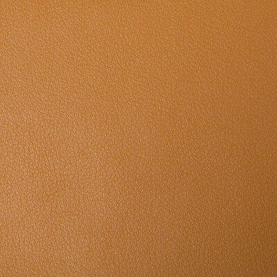 Kravet Contract BERTA.4.0 Kravet Contract Upholstery Fabric in Yellow , Yellow , Berta-4