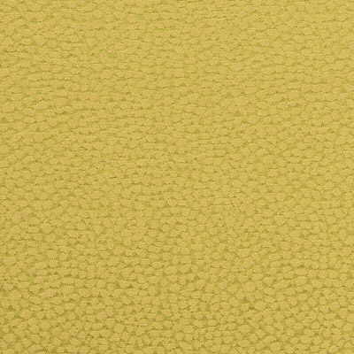 G P & J Baker BF10132.775.0 Pebbles Multipurpose Fabric in Fern/Green/Yellow