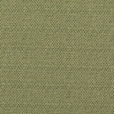 GP&J Baker BF10874.735.0 Pednor Upholstery Fabric in Green