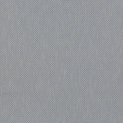 G P & J Baker BF10959.660.0 Morley Multipurpose Fabric in Blue