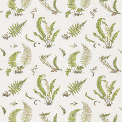 G P & J Baker BF10991.2.0 Ferns Embroidery Drapery Fabric in Green/White