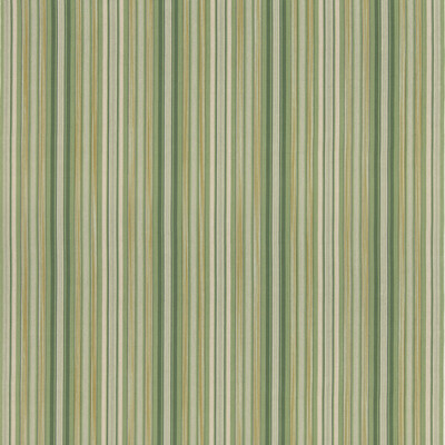 G P & J Baker BF11065.735.0 Rainstorm Multipurpose Fabric in Green/White